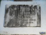 image of grave number 499574